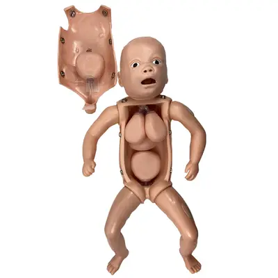 Manequim Bebê Órgãos Internos Treino de Enfermagem