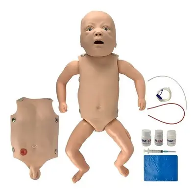 Manequim Bebê Órgãos Internos Treino de Enfermagem