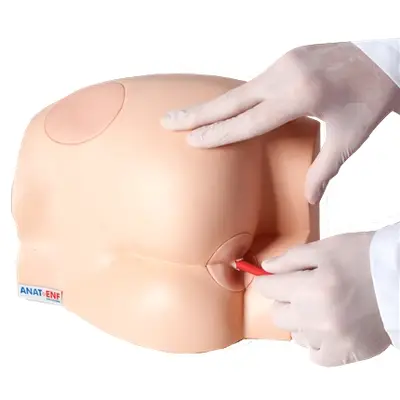 Simulador Médico Sonda Retal e Injeção Intramuscular