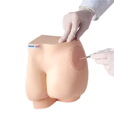 Simulador Médico Sonda Retal e Injeção Intramuscular