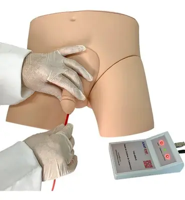 Simulador de Cateterismo Vesical, Lavagem Intestinal, Bissexual com Dispositivo de Controle