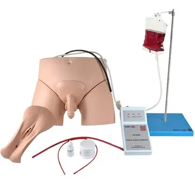 Simulador de Cateterismo Vesical, Lavagem Intestinal, Bissexual com Dispositivo de Controle