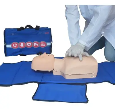 Torso Humano para Treino de RCP Adulto e Infantil