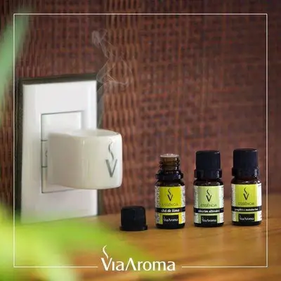 Kit 3 Essências Vanilla - Lavanda e Bamboo