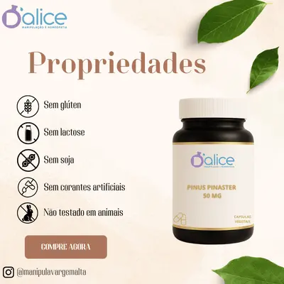 Pinus Pinaster 50 mg - Antioxidante Natural para Circulação, Pele e Coração | 60 Doses em Capsulas vegetais