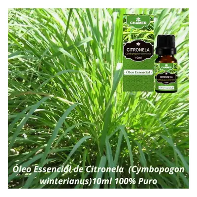 Óleo Essencial de Citronela 10ml 100% Puro Chamel
