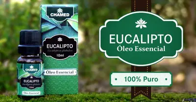 Óleo Essencial de Eucalipto Globulus 10ml  100% Puro Chamed