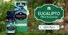 Óleo Essencial de Eucalipto Globulus 10ml  100% Puro Chamed