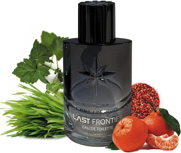 PERFUME LINN YOUNG LAST FRONTIER EDT 100ML