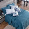 Cobre Leito Queen Basic 300 Fios 7 Peças - Azul Butterfly