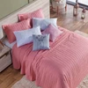 Cobre Leito Queen Basic 300 Fios 7 Peças - Rose Garden