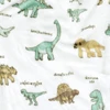 Manta Infantil Solteiro Nuny Microfibra Flanel 1 Peça